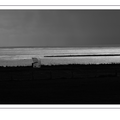 S7R06427.png