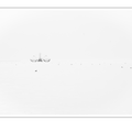 S7R07253.png