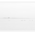 S7R07278.png