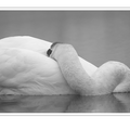 S7R09428_01.png