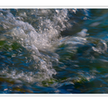 S7A705588.png