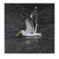 S7R05361_03.png