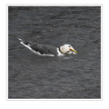 S7R05364_03.png