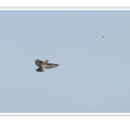 S7R05696.png