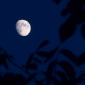 20180624_0017_02.png