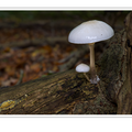 S7R09178-182_ZS.png